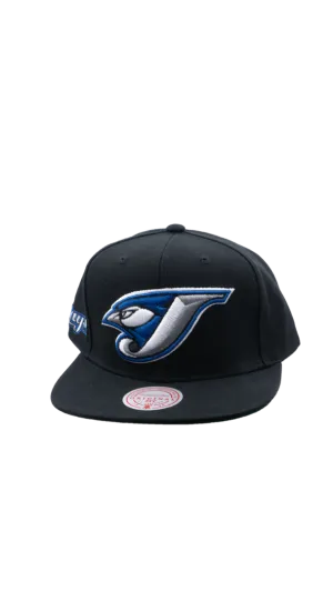 Mitchell & Ness Men's MLB Toronto Blue Jays Evergreen Coop Snapback Cap