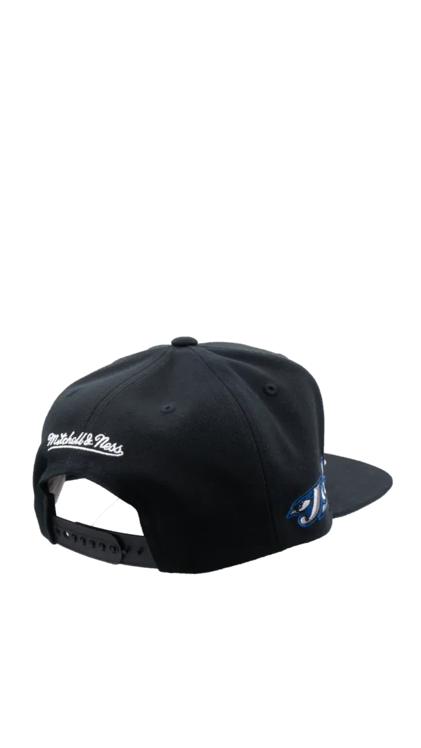 Mitchell & Ness Men's MLB Toronto Blue Jays Evergreen Coop Snapback Cap