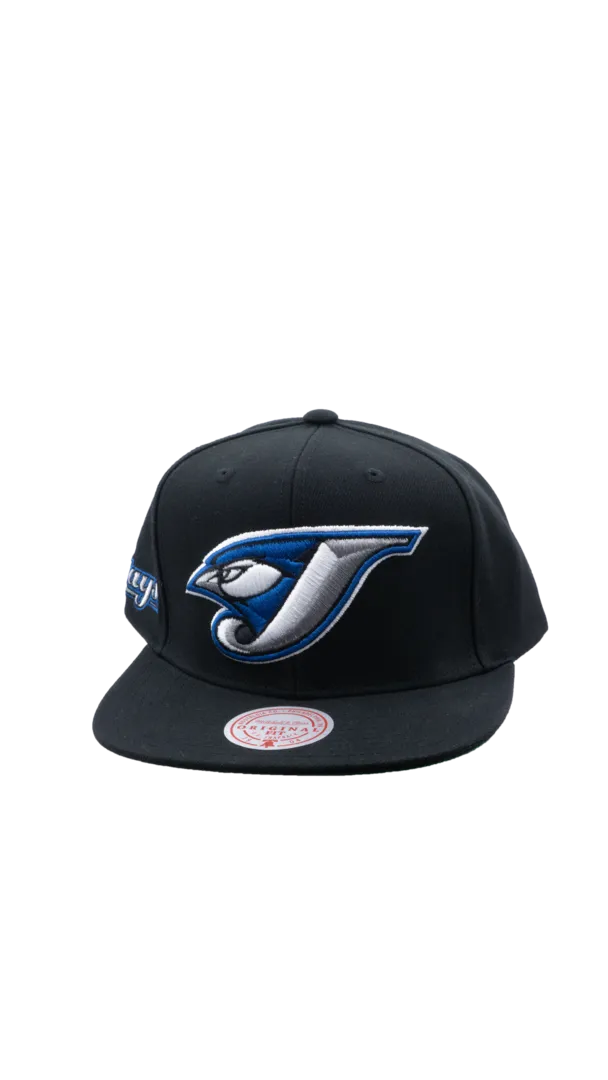 Mitchell & Ness Men's MLB Toronto Blue Jays Evergreen Coop Snapback Cap